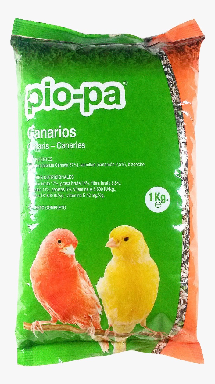 WhatsApp Image 2024-02-27 at 18.01.30